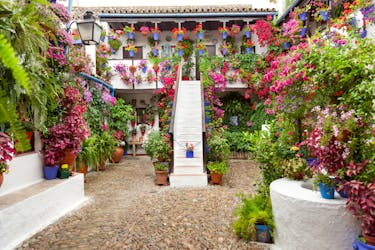 Tickets and guided tour of the authentic patios of Córdoba